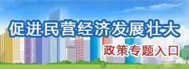 促進民營經濟發(fā)展壯大